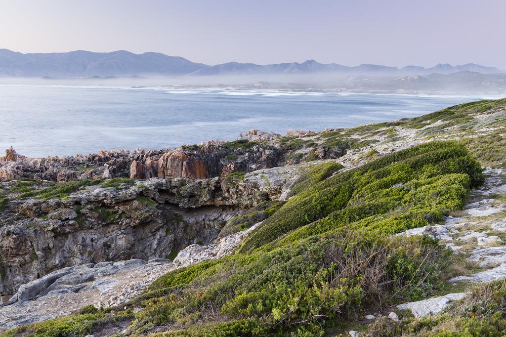 Whalesong Lodge Gansbaai Exterior foto