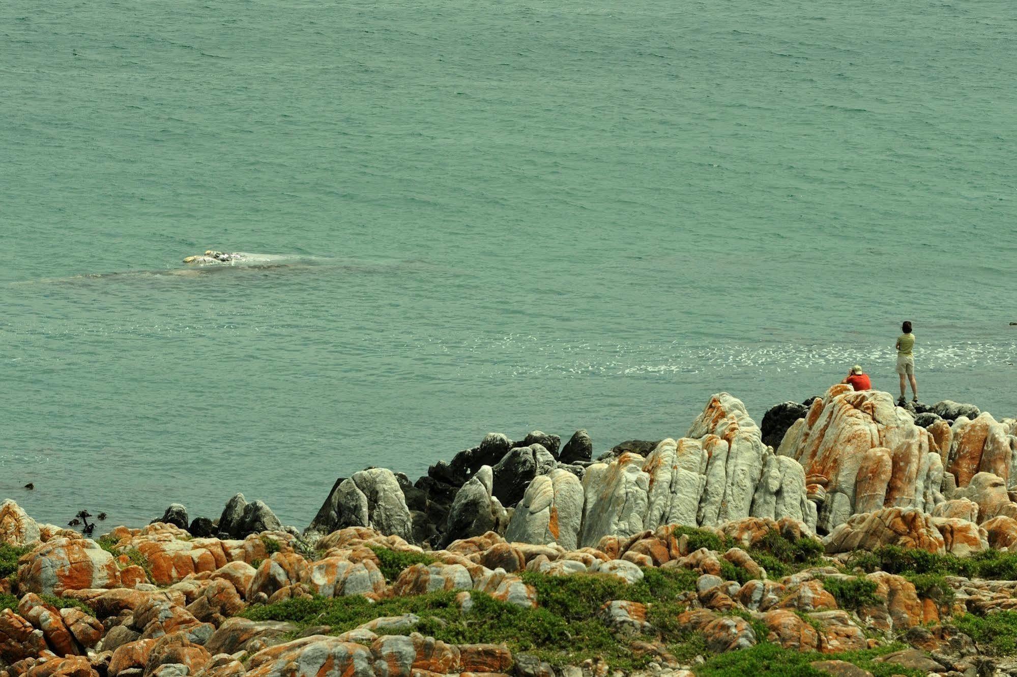 Whalesong Lodge Gansbaai Exterior foto