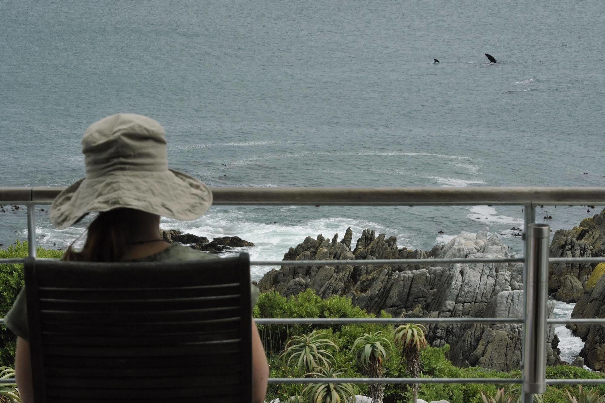 Whalesong Lodge Gansbaai Exterior foto